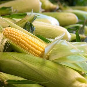 Sweet Corn 500g Pack