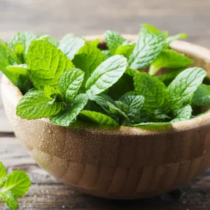 Fresh Mint – 1.5 AED