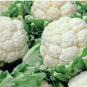 Cauliflower 500g